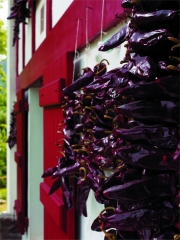 Piment d'Espelette sur les façades des maisons
Photo : © AAPrA