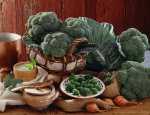 Le brocoli est un légume peu calorique. Il apporte
des protéines, des glucides, des lipides.