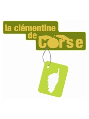 Clémentine de Corse : la seule clémentine française