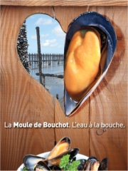Les moules de bouchot. L'eau à la bouche
Photo : © CNC