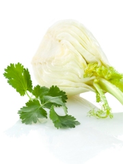 Fenouil & Feuilles de Coriandre
Photo : © Ducros / Studio Nicolas Louis