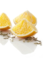 Fenouil & Orange
Photo : © Ducros / Studio Nicolas Louis