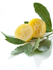 Laurier & Citron Confit
Photo : © Ducros / Studio Nicolas Louis