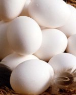Les oeufs...