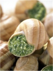 Les escargots
Photo : Yves Bagros