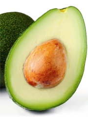 Avocat Fuerte d'Afrique du Sud
Photo : DR