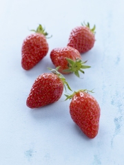 Des fraises Gariguette
Photo : © J.C Amiel / M. Leteure