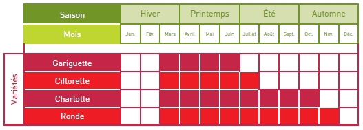 Calendrier de Production des Fraises fran�aises.
Photo : DR