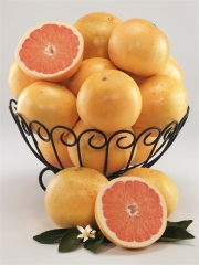 Pamplemousse de Floride
Photo : © FDOC