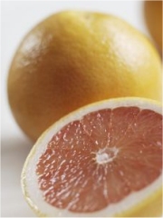 Pamplemousse de Floride (02/2013)