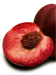 Nectavigne
Photo : © Nectavigne