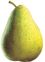 Poire Guyot