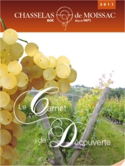 Carnet de Découverte
du Chasselas de Moissac