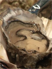 Huîtres Marennes Oléron
Photo : © Huîtres Marennes Oléron