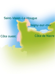 Les huîtres en Normandie
Photo : DR