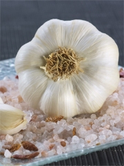 Ail Blanc de Lomagne
Photo : © Ail Blanc de Lomagne