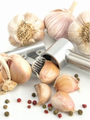 Ail
Photo : © ANIAIL