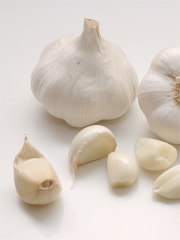 Ail Blanc de Lomagne
Photo : © Ail Blanc de Lomagne