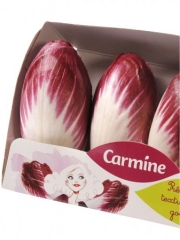 L'endive Carmine
Photo : � Expression / Prince de Bretagne