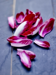 L'endive Carmine®
Photo : DR