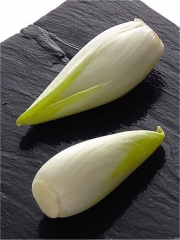 La mini-endive
Photo : © Expression / Prince de Bretagne