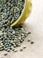 Lentilles Vertes
Photo : © iStockPhoto / Elena Elisseeva