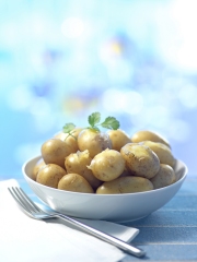 La Bonnotte de Noirmoutier
Photo : © P. Marchand