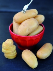 La Pomme de terre Juliette
Photo : © F. Schmitt / Germicopa