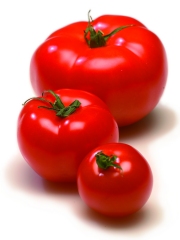 Tomates
Photo : © www.tomates-de-france.com