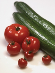Tomates et Concombre de France
Photo : DR