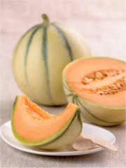 Melon du Quercy
Photo : DR