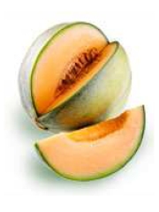 Melon de Guadeloupe
Photo : DR