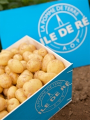 La caguette au couleur des bords de mer charentais
Photo : DR