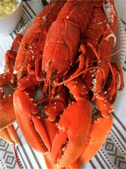 Le homard et sa mayonnaise
Photo : © Cooking2000