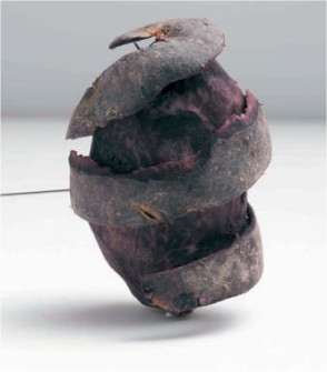 La pomme de terre Vitelotte de Touquet Savour
Crédit photo : Touquet Savour