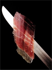Le Jambon Ibérique