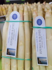 Fête de l'Asperge du Blayais