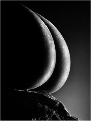 Oeuf de Denis Nidos
Photo : © Denis Nidos