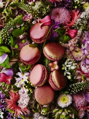 Jour du Macaron® - 20 mars 2016
Photo : © Pierre Hermé Paris
