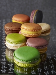 Jour du Macaron®
20 mars 2013