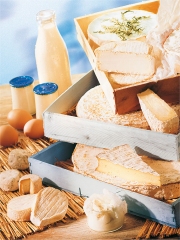 Fromages et produits laitiers en Ile de France
Photo : © CERVIA Paris Ile-de-France