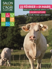 Idéale, la star du Salon de l'Agriculture 2020
Photo : © SIA 2020 / P. Parchet