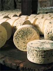 Bleu des Causses
Photo : © Syndicat du Bleu des Causses