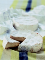 Chèvre-Boîte
Photo : Nicolas Louis pour le CIFC