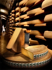 Le Comté en cave d'affinage
Photo : © CIGC / Studio Vision