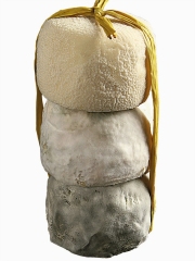 Crottin de Chavignol
Photo : © Crottin de Chavignol