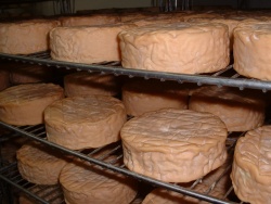 Epoisses - image utilisée avec l'autorisation de www.fromage-epoisses.com