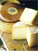 Les fromages d'Espagne : Gran Maetre A.O.P Manchego