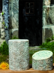 Fourme d'Ambert
Photo : © Luc Olivier