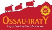Ossau-Iraty, le pur brebis qui sort du troupeau
Photo : DR